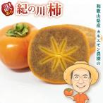 柿 訳あり 紀の川柿 約2kg
