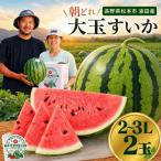 波田産 すいか 2L~3L 2玉入り
