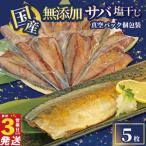 鯖 塩干し 干物 5枚