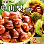中山栗 特選栗 3Lサイズ 2kg