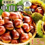 中山栗 特選栗 3Lサイズ 1.5kg
