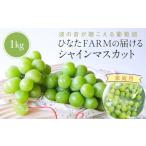 ふるさと納税 【家庭用】シャインマスカット 1kg ひなたFARM  | シャインマスカット 鳥取県北栄町