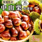 中山栗 特選栗 2Lサイズ 3kg