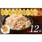 ふるさと納税 【こしひかり】 玄米ごはんパック 160g 12個 コシヒカリ ごはんパック 大阪府松原市