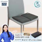 エアウィーヴ キャリークッション mini