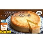 ケーキ カステラ チーズケーキ 濃厚 ベイクドチーズケーキ