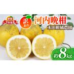 ふるさと納税 訳あり �