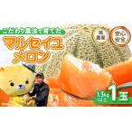 ふるさと納税 【先行予約】 安心安全！減農薬！こだわり農法で育てたマルセイユメロン 1玉 (1玉あたり：1.3kg以上) 【2026年6月中旬以降順次発送.. 福井県坂井市