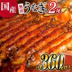 鰻楽 うなぎ蒲焼 2尾
