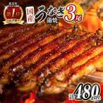 鰻楽 うなぎ蒲焼 3尾