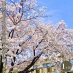 内での短期入居体験 1ヶ月