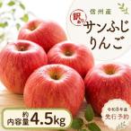 りんご 訳あり サンふじ 4.5kg