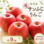 りんご 訳あり サンふじ 9kg