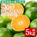 温州みかん 約5kg