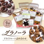 グラノーラ ドライフルーツ 詰め合わせ 4種セット