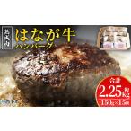 肉 お肉 牛肉 牛 ビーフ 牛100% 肉加工品