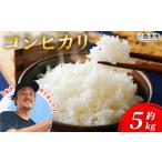 お米 コメ こめ 白米 精米 単一原料米 ご飯 白飯