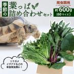 季節の葉っぱ詰め合わせ セット 約 600g