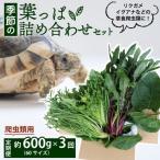 季節の葉っぱ詰め合わせ セット 約 600g