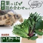 季節の葉っぱ詰め合わせ セット 約 1.8kg