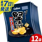ポテトチップス 堅あげポテト うすしお味