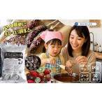 チョコバナナ チョコレート チョコバナナ用チョコレート