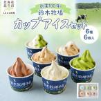 アイス 6種6個 詰め合わせセット 鈴木牧場