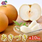 あきづき 梨 約10kg