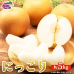 にっこり 梨 約5kg