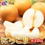 にっこり 梨 約10kg