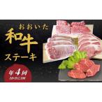 おおいた和牛ステーキ 年4回 3か月に1回