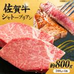 佐賀牛 シャトーブリアンステーキ 200g×4