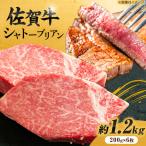 佐賀牛 シャトーブリアン 200g×6枚