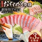 冷蔵 結城水産 お刺身用ブロック N015-YD0239