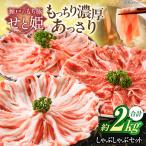 瀬戸のもち豚 せと姫 しゃぶしゃぶセット 約2kg