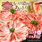 豚肉 シャブシャブ セット 約3kg