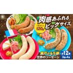 世界のソーセージ3種×2セット ソーセージ