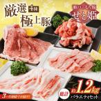 バラエティセット約1 200g