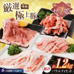 バラエティセット約1 200g