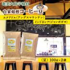 店主 自家焙煎コーヒー 豆 100gx2種