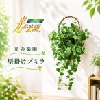 光の楽園 壁掛けプミラ インテリア 光触媒