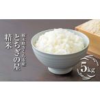 令和7年度 産とちぎの星 精米5kg 米 白米