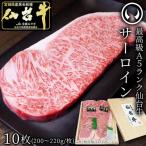 肉のいとう 最高級A5ランク仙台牛サーロインステーキ 10枚