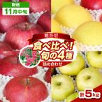 りんご 約5kg