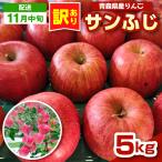 りんご 約5kg