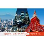 東京タワーメインデッキ 150m ペアチケット