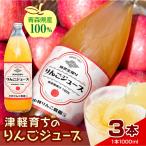 りんごジュース 1L×3本