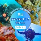 ダイビング ビーチエントリー2ダイブ 葉山