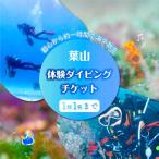 体験ダイビング ダイビング 葉山