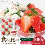 こころの色×いちごさん 計880g